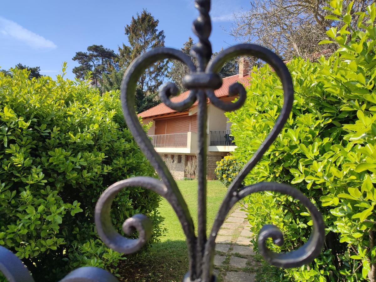 Dorka Villa Тихани Екстериор снимка