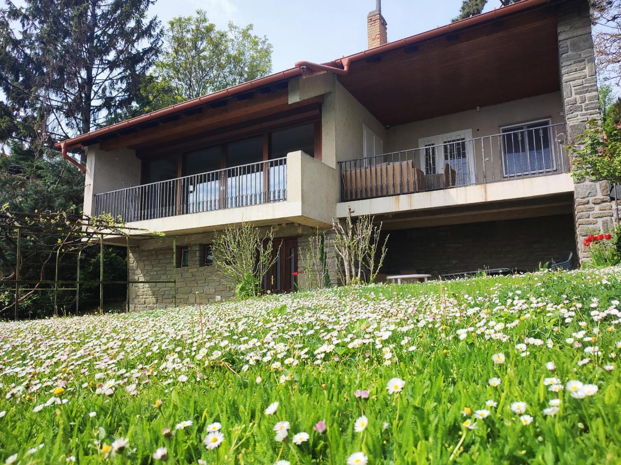 Dorka Villa Тихани Екстериор снимка